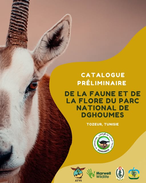 Wildlife Conservation