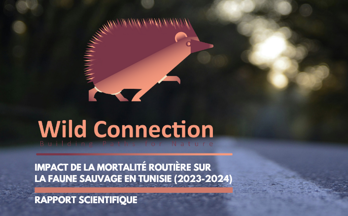 Wildlife Conservation