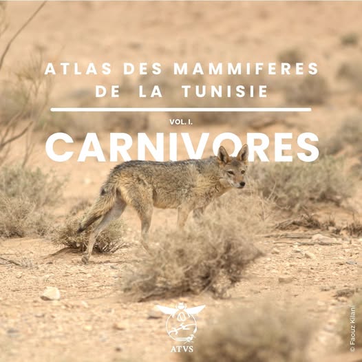 Fortress Completes Harmon Offices